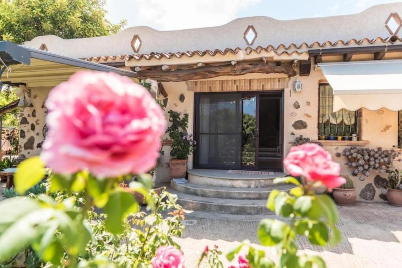 Villa Con Immenso Giardino 奥罗塞伊 外观 照片