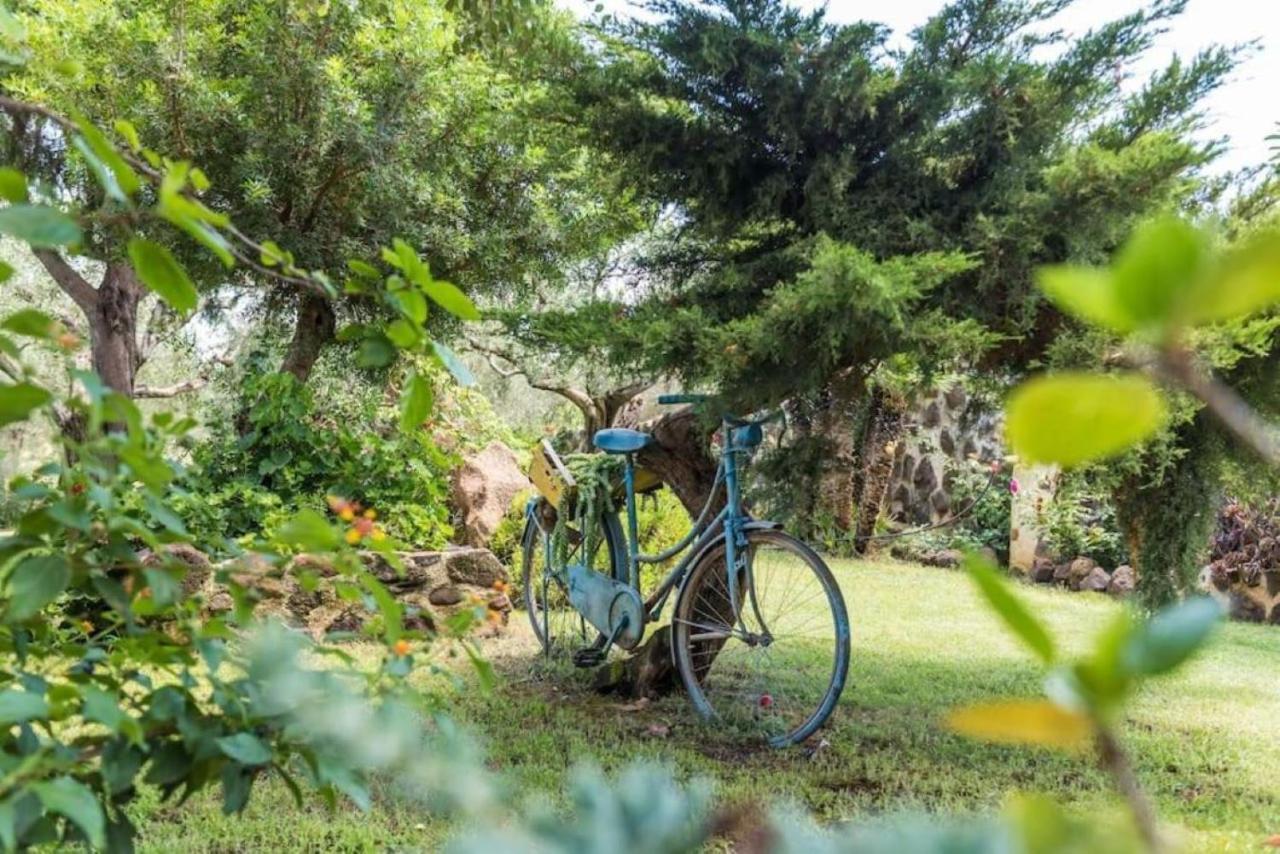 Villa Con Immenso Giardino 奥罗塞伊 外观 照片