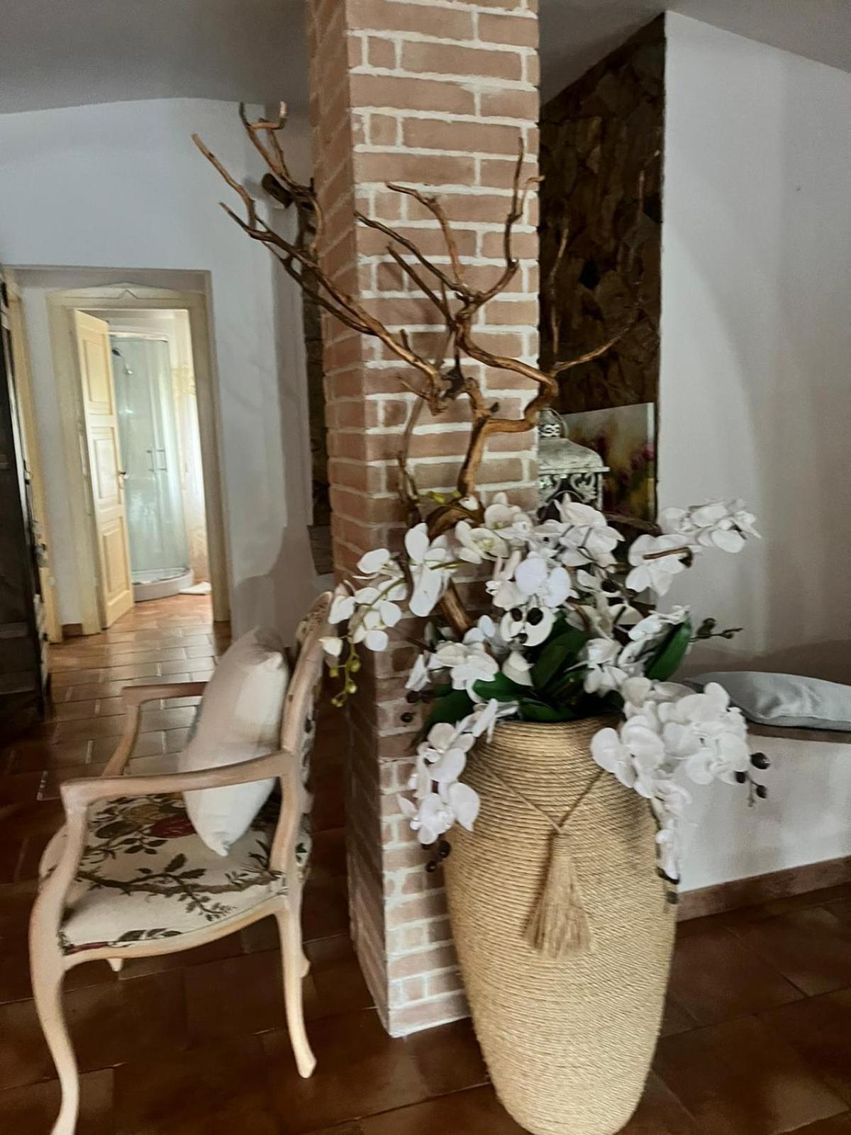 Villa Con Immenso Giardino 奥罗塞伊 外观 照片